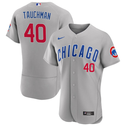 Mike Tauchman Chicago Cubs Nike Road Authentic Jersey - Gray